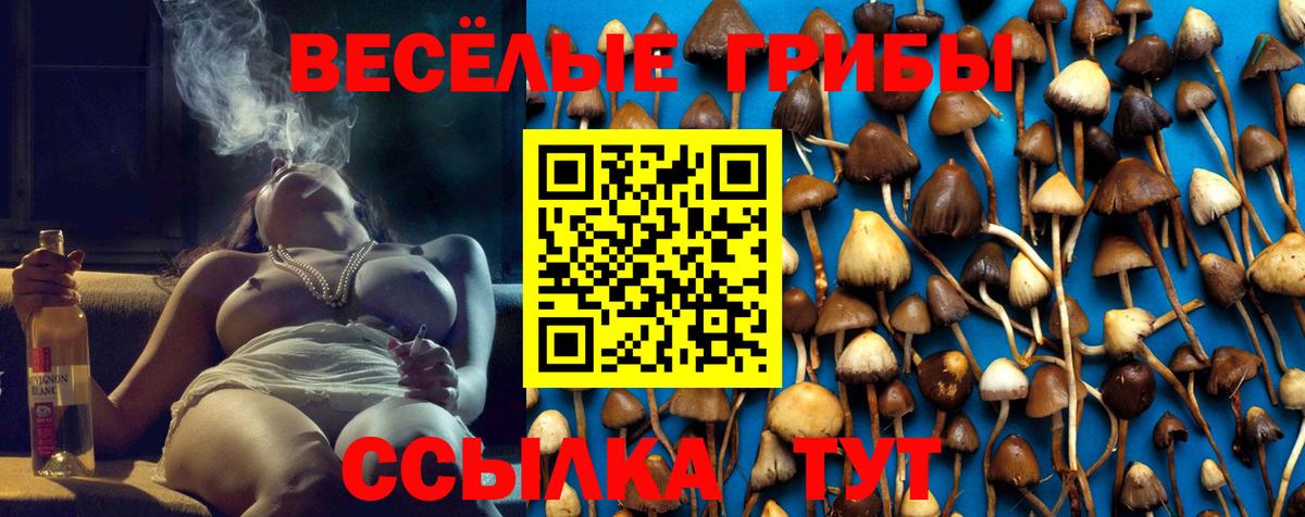 Кемерово  Псилоцибиновые грибы Psilocybine cubensis  Вход с VPN 